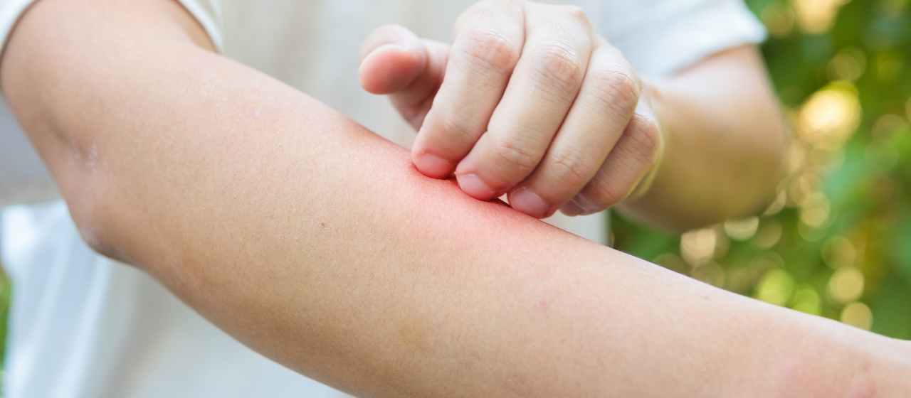 ingrosso-casalinghi-bye-bye-insetti-0-59-07.jpg (ENGLISH)