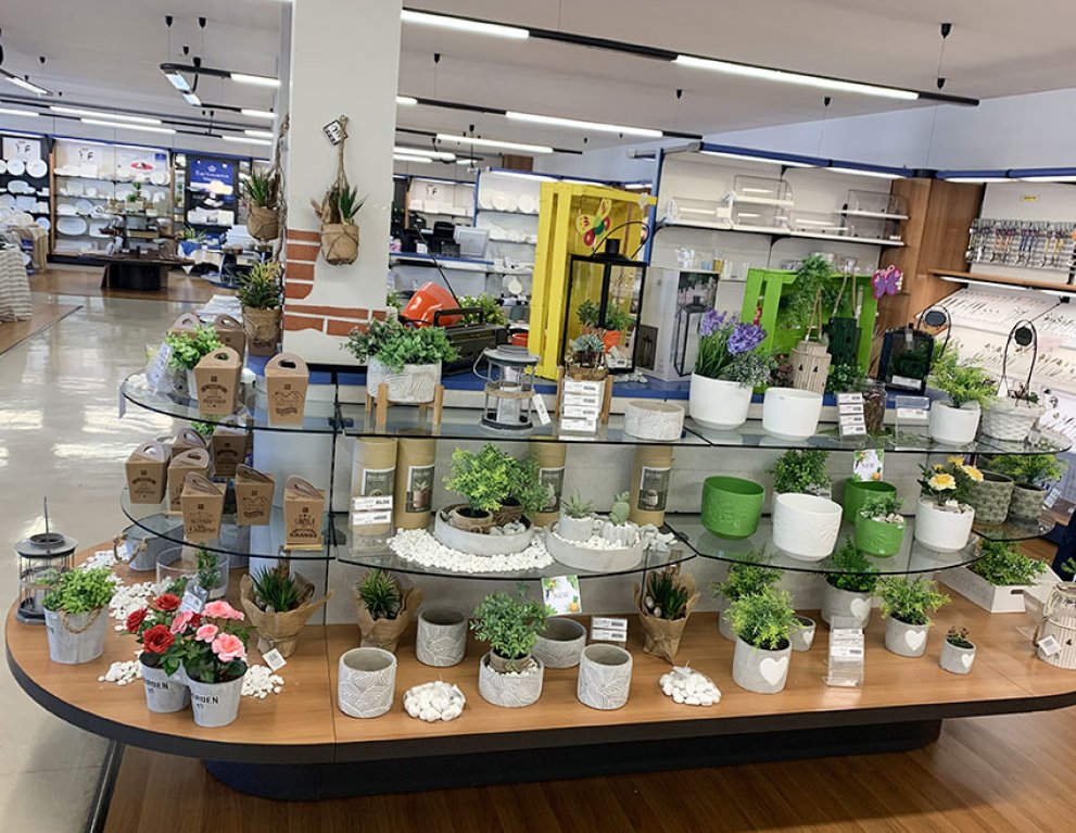 Casalinghi (ENGLISH)